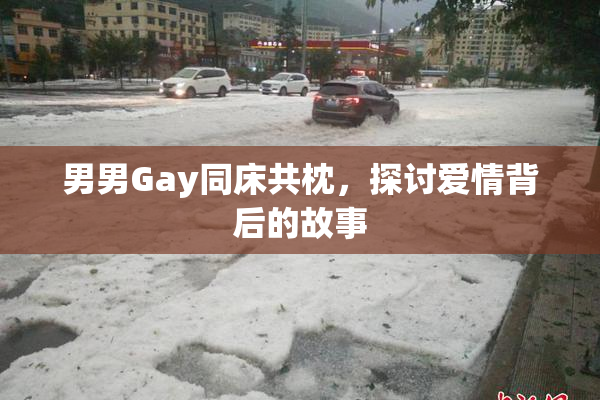 男男Gay同床共枕，探讨爱情背后的故事