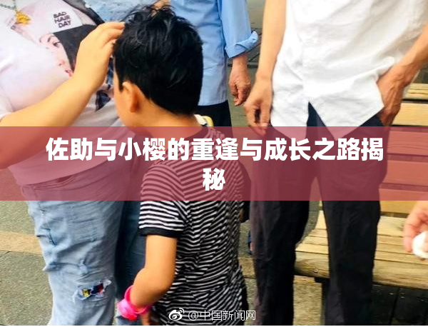 佐助与小樱的重逢与成长之路揭秘