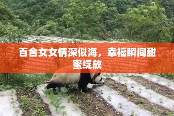 百合女女情深似海，幸福瞬间甜蜜绽放