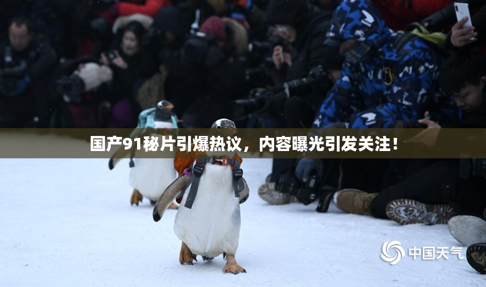 国产91秘片引爆热议，内容曝光引发关注！