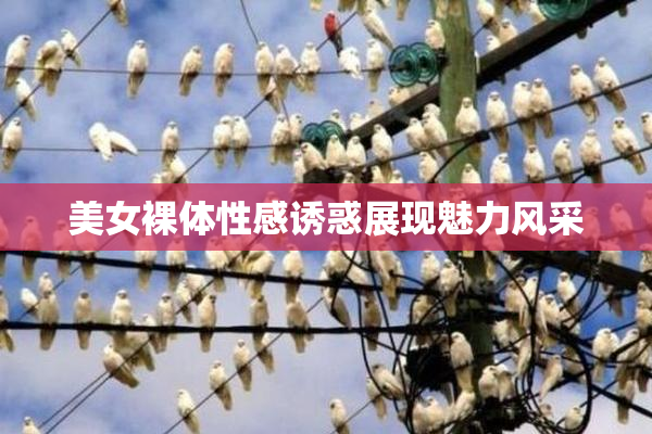 美女裸体性感诱惑展现魅力风采