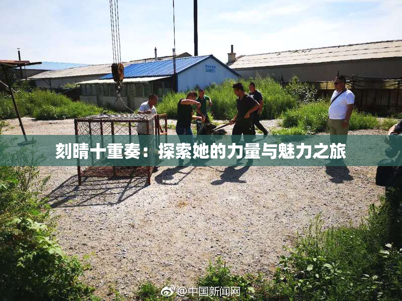 刻晴十重奏：探索她的力量与魅力之旅