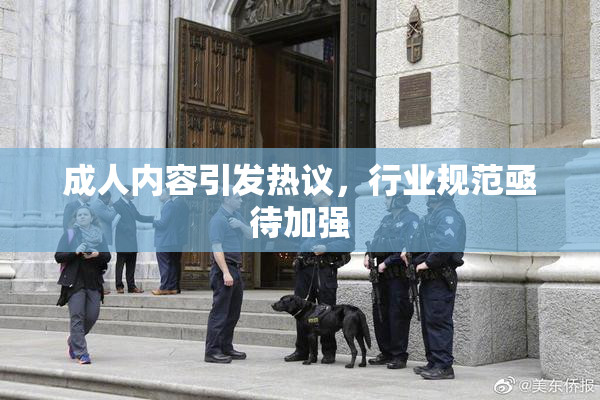 成人内容引发热议，行业规范亟待加强