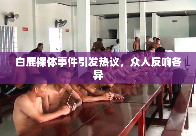 白鹿裸体事件引发热议，众人反响各异