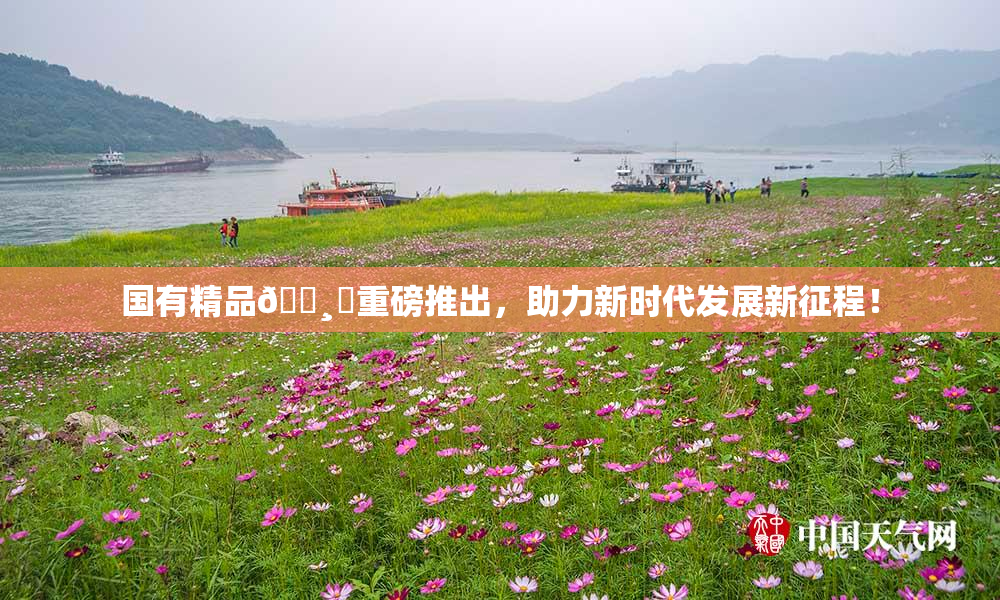 国有精品🌸‌重磅推出，助力新时代发展新征程！