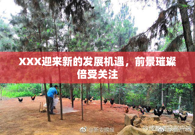XXX迎来新的发展机遇，前景璀璨倍受关注