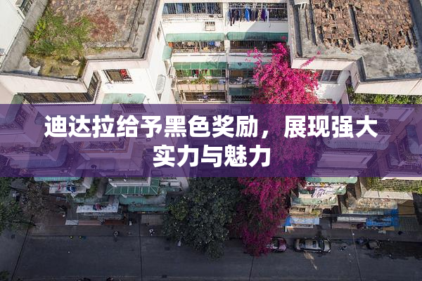 迪达拉给予黑色奖励，展现强大实力与魅力