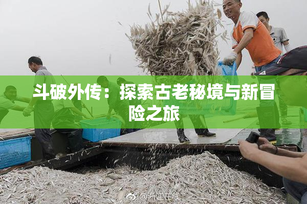 斗破外传：探索古老秘境与新冒险之旅