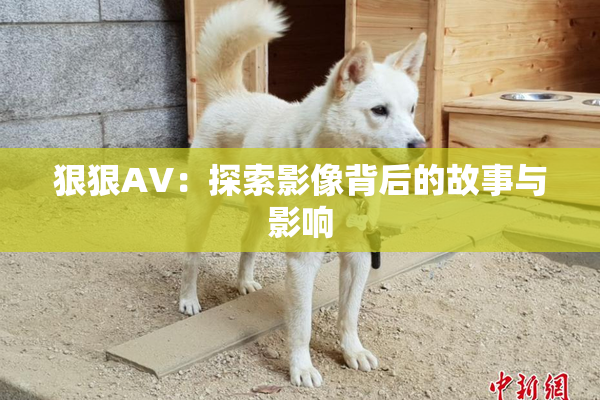狠狠AV：探索影像背后的故事与影响