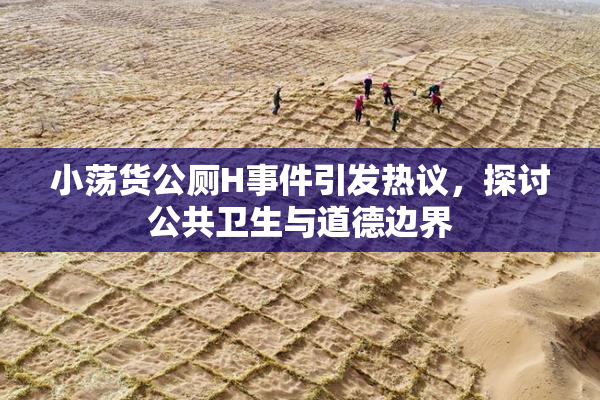 小荡货公厕H事件引发热议，探讨公共卫生与道德边界