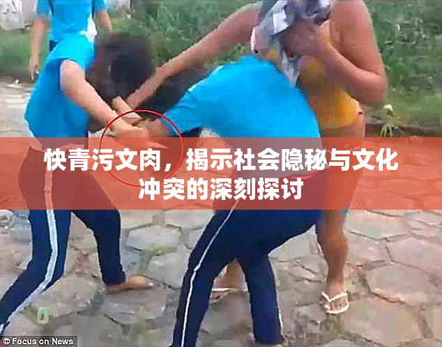 快青污文肉，揭示社会隐秘与文化冲突的深刻探讨