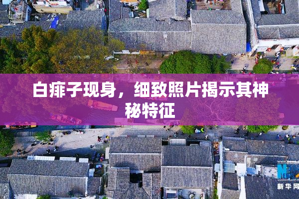 白痱子现身，细致照片揭示其神秘特征