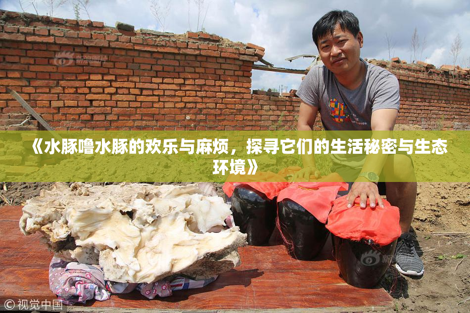 《水豚噜水豚的欢乐与麻烦，探寻它们的生活秘密与生态环境》