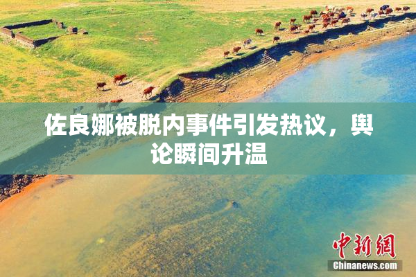 佐良娜被脱内事件引发热议，舆论瞬间升温