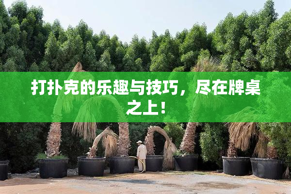打扑克的乐趣与技巧，尽在牌桌之上！