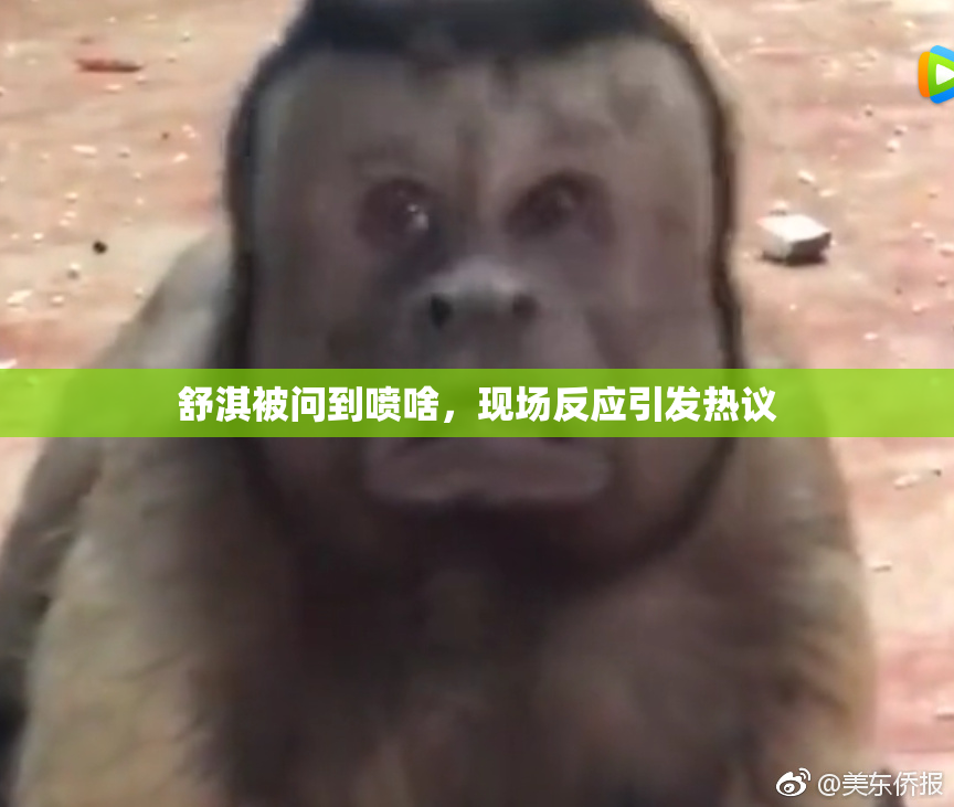 舒淇被问到喷啥，现场反应引发热议