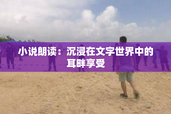 小说朗读：沉浸在文字世界中的耳畔享受