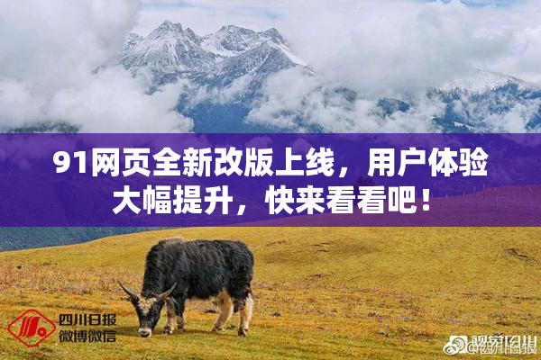91网页全新改版上线，用户体验大幅提升，快来看看吧！