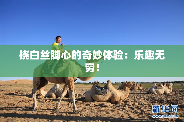 挠白丝脚心的奇妙体验：乐趣无穷！