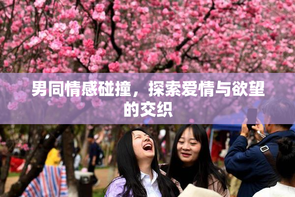 男同情感碰撞，探索爱情与欲望的交织