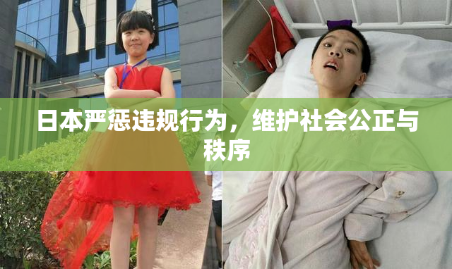 日本严惩违规行为，维护社会公正与秩序