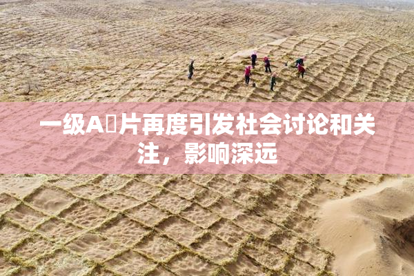 一级A婬片再度引发社会讨论和关注，影响深远