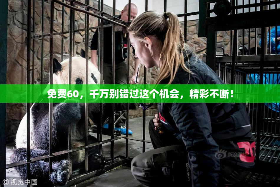免费60，千万别错过这个机会，精彩不断！