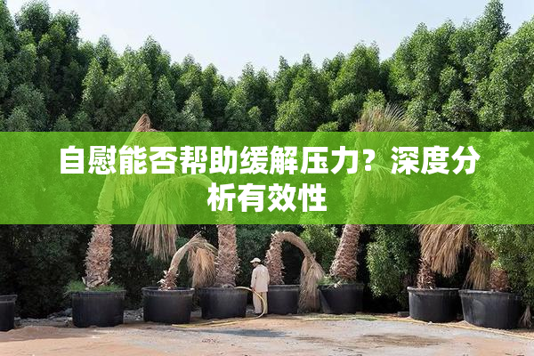 自慰能否帮助缓解压力？深度分析有效性
