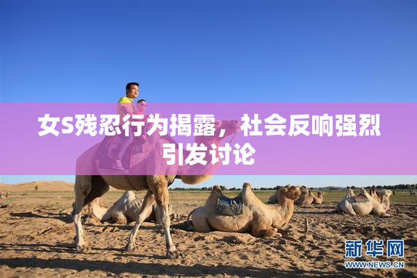 女S残忍行为揭露，社会反响强烈引发讨论
