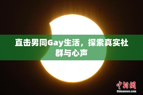直击男同Gay生活，探索真实社群与心声