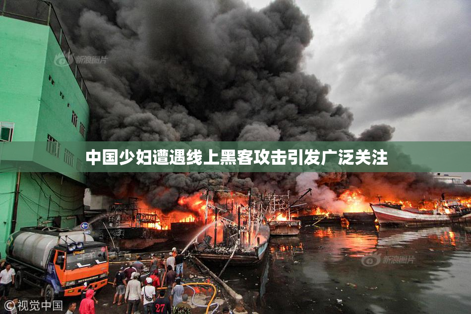 中国少妇遭遇线上黑客攻击引发广泛关注