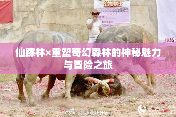 仙踪林×重塑奇幻森林的神秘魅力与冒险之旅