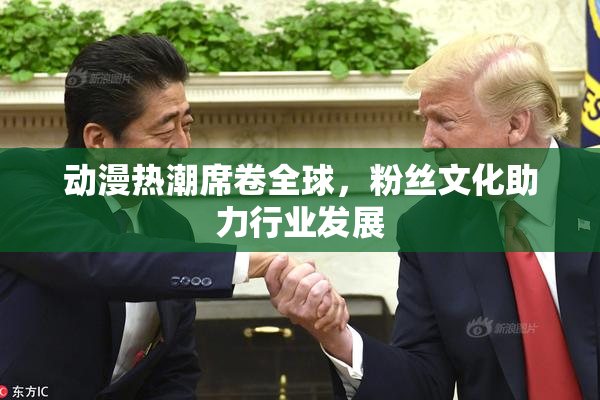 动漫热潮席卷全球，粉丝文化助力行业发展