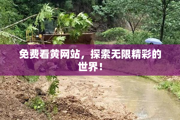 免费看黄网站，探索无限精彩的世界！