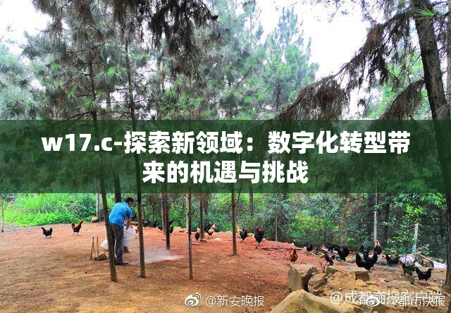 w17.c-探索新领域：数字化转型带来的机遇与挑战