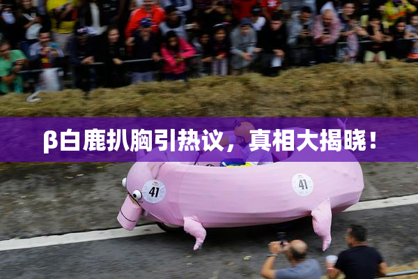 β白鹿扒胸引热议，真相大揭晓！