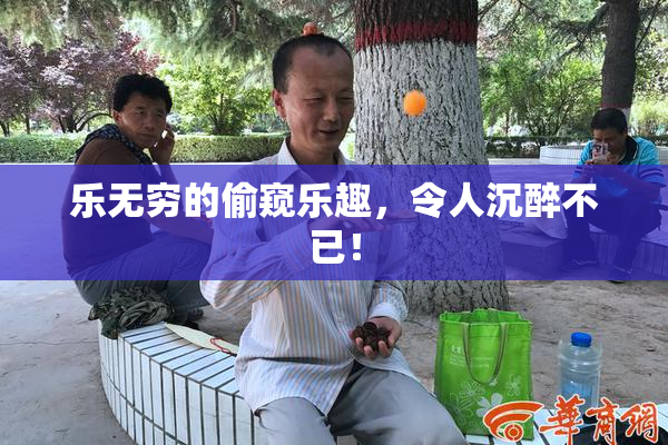 乐无穷的偷窥乐趣，令人沉醉不已！
