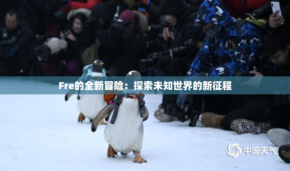 Fre的全新冒险：探索未知世界的新征程