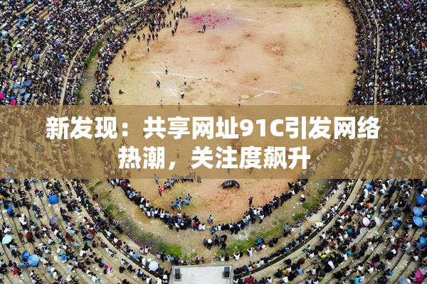 新发现：共享网址91C引发网络热潮，关注度飙升