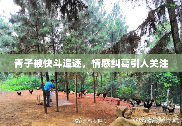 青子被快斗追逐，情感纠葛引人关注