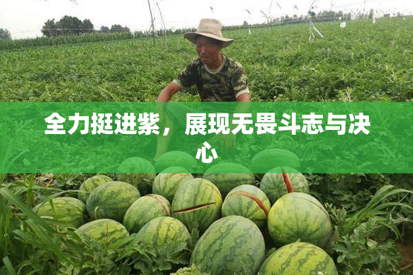 全力挺进紫，展现无畏斗志与决心