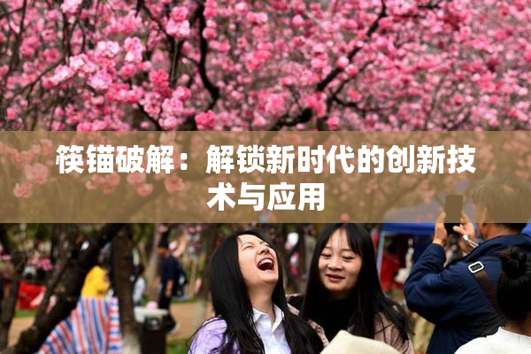 筷锚破解：解锁新时代的创新技术与应用