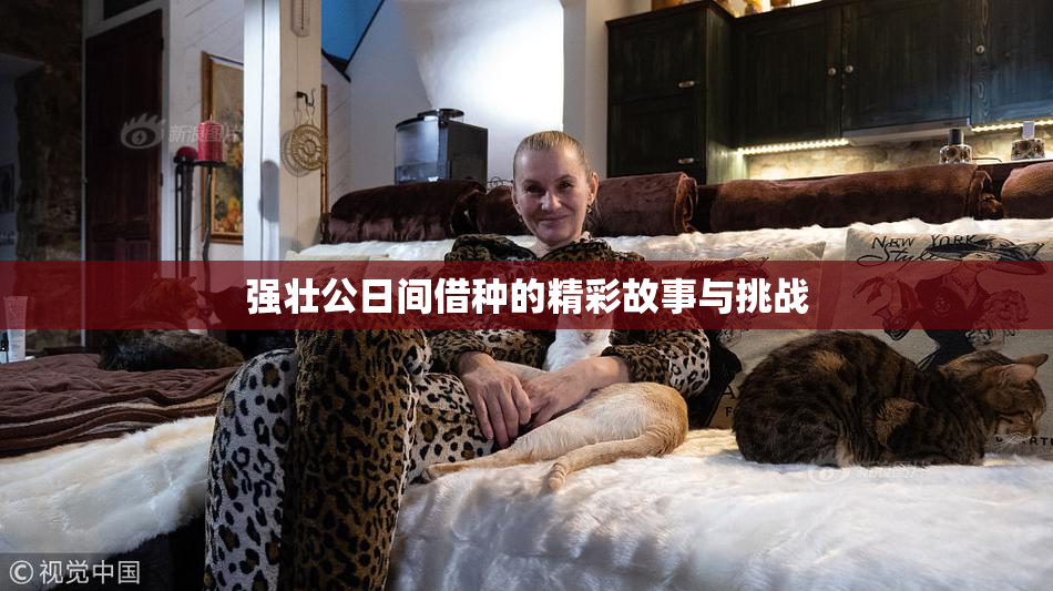 强壮公日间借种的精彩故事与挑战