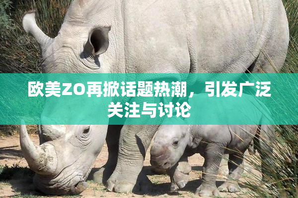 欧美ZO再掀话题热潮，引发广泛关注与讨论
