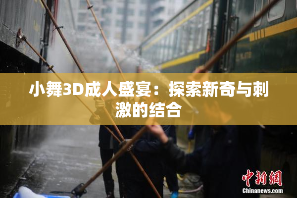 小舞3D成人盛宴：探索新奇与刺激的结合