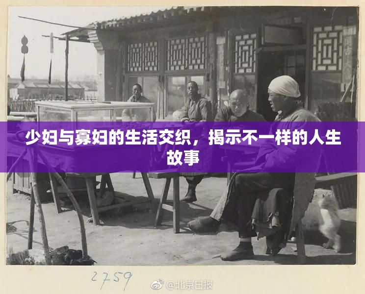 少妇与寡妇的生活交织，揭示不一样的人生故事