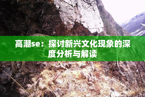 高潮se：探讨新兴文化现象的深度分析与解读