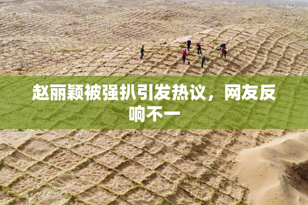 赵丽颖被强扒引发热议，网友反响不一