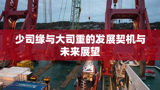 少司缘与大司重的发展契机与未来展望