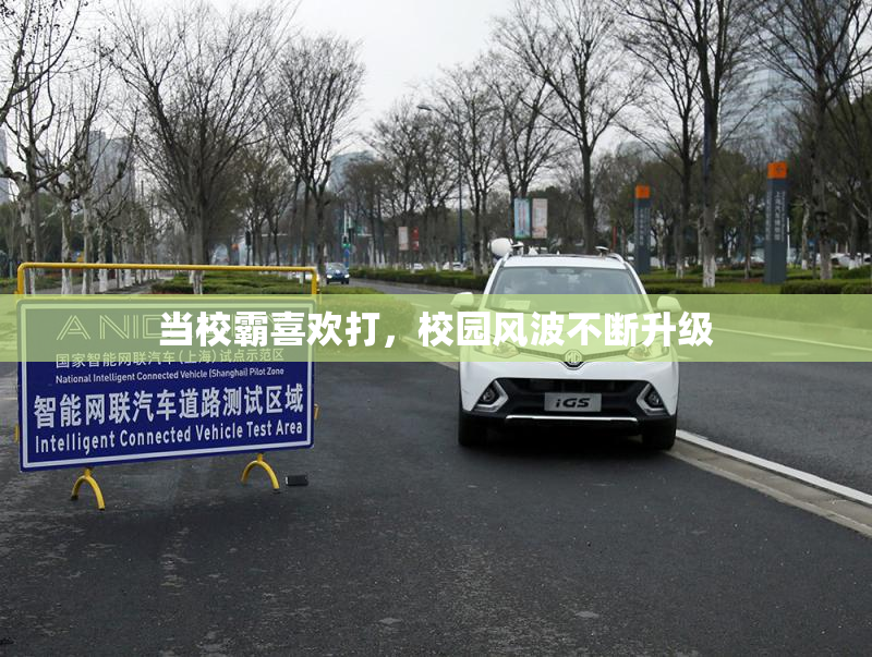 当校霸喜欢打，校园风波不断升级